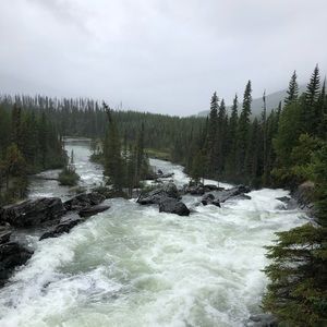 Meet your Posher, Coralee